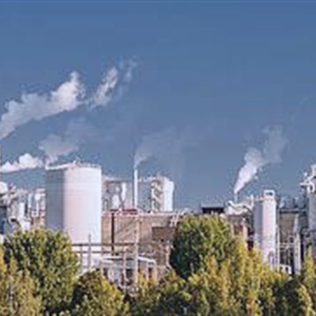 Fábrica de celulose com torres e vapor entre árvores